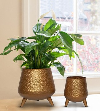 Luxury Metal Pot Set